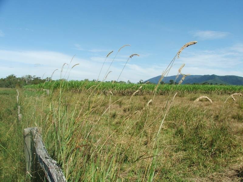 Lot 11-13 Schmidtke Road, Sarina QLD 4737