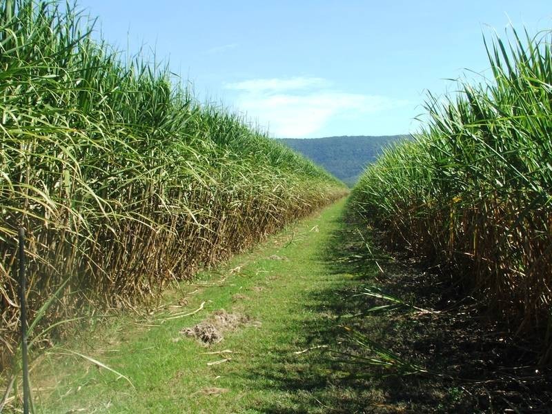 Lot 11-13 Schmidtke Road, Sarina QLD 4737