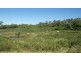 Lot 1 53 Mick Ready Road, Grasstree Beach QLD 4740