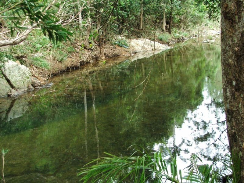 1219 Carmila West Road, Carmila QLD 4739