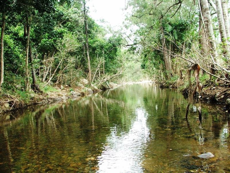 1219 Carmila West Road, Carmila QLD 4739