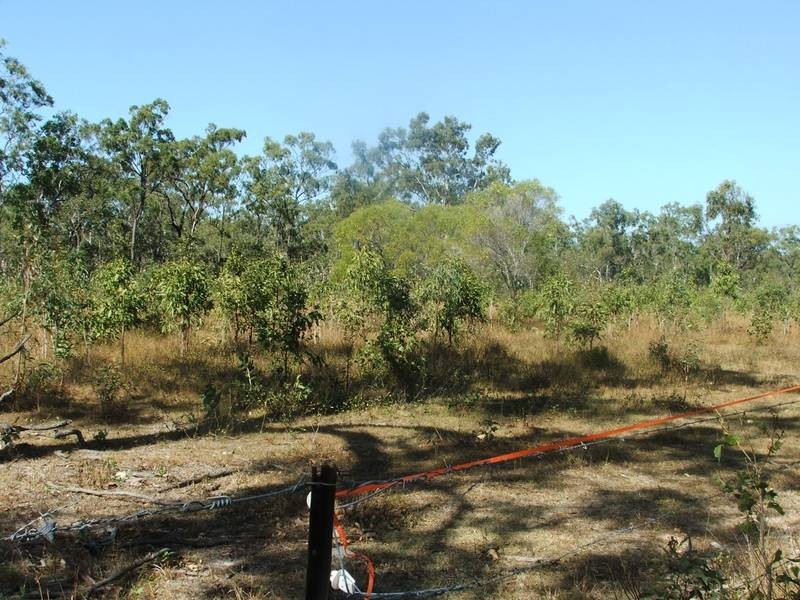 21 McLeods Road, Carmila QLD 4739
