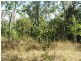 21 McLeods Road, Carmila QLD 4739