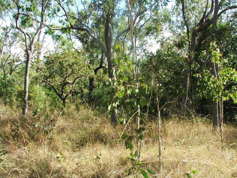 21 McLeods Road, Carmila QLD 4739