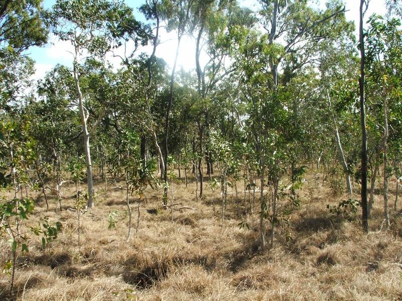 21 McLeods Road, Carmila QLD 4739