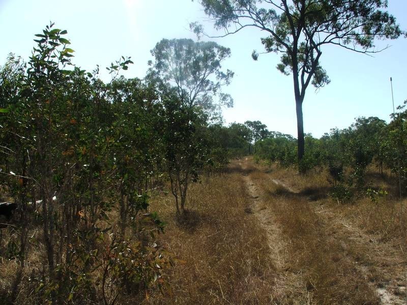 21 McLeods Road, Carmila QLD 4739