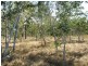 21 McLeods Road, Carmila QLD 4739