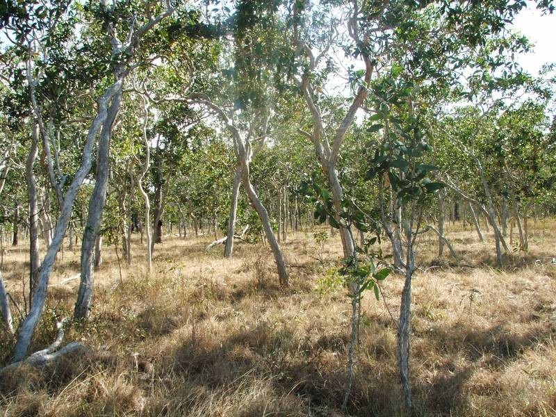 21 McLeods Road, Carmila QLD 4739