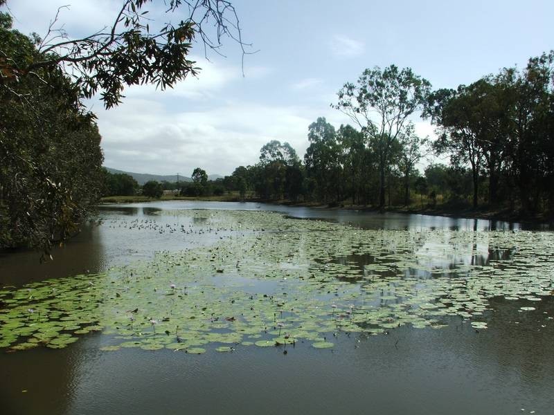 21 McLeods Road, Carmila QLD 4739