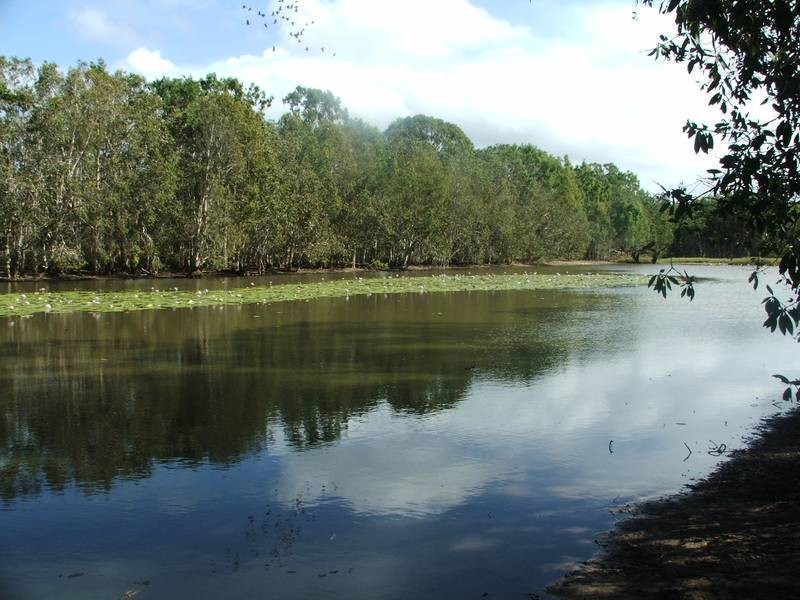 21 McLeods Road, Carmila QLD 4739
