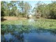 21 McLeods Road, Carmila QLD 4739