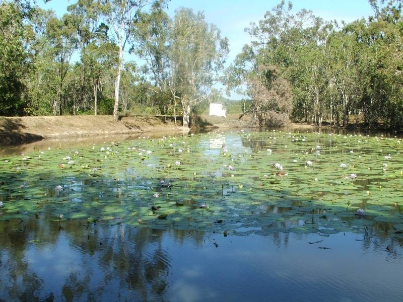 21 McLeods Road, Carmila QLD 4739