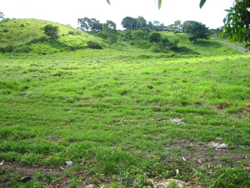 69 Grasstree Beach Road, Grasstree Beach QLD 4740