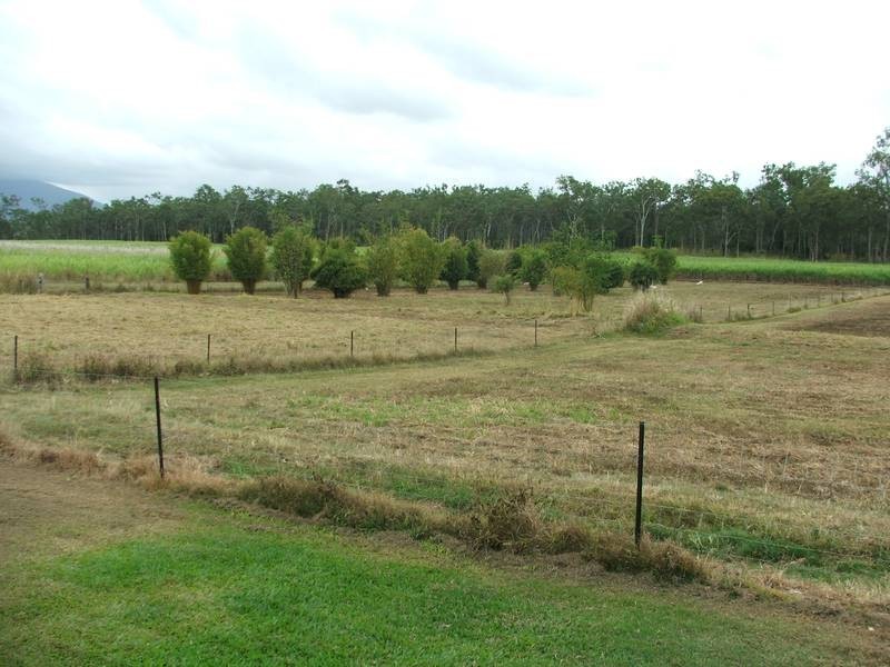 280 Turners Paddock Road, Koumala QLD 4738