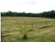 280 Turner Paddock Road, Koumala QLD 4738