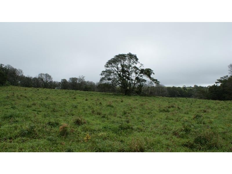 531 Dalrymple Road, Eungella QLD 4757