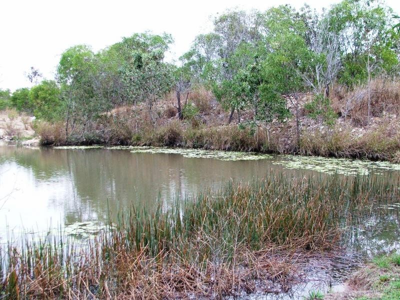 310 Greenhill Road, Ilbilbie QLD 4738