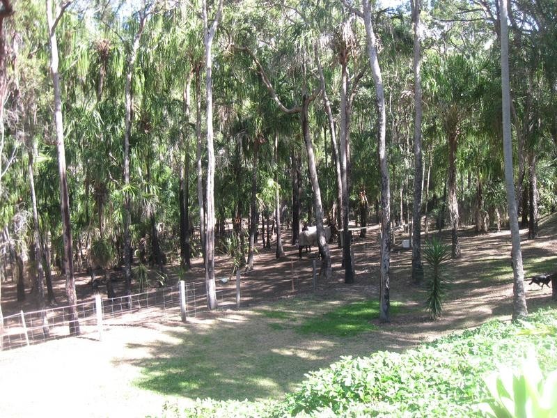 55 Gumnut Drive, Alligator Creek QLD 4740