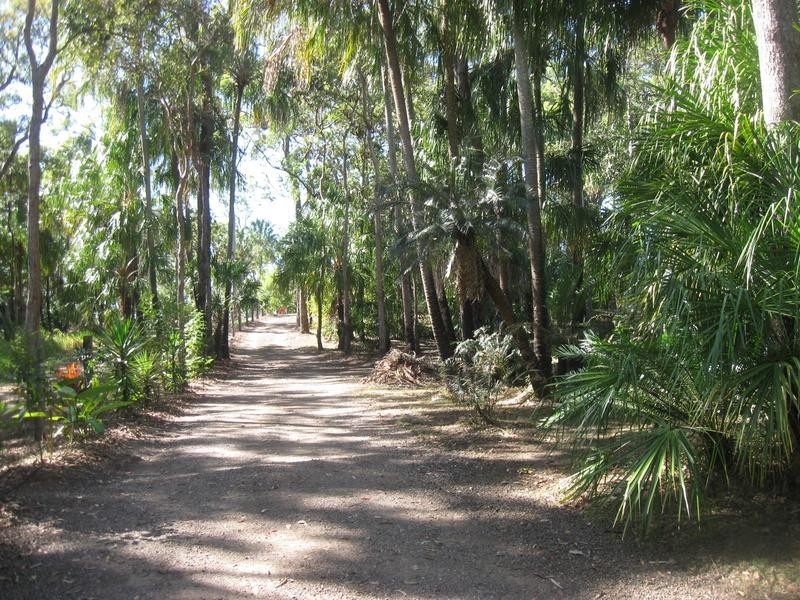 55 Gumnut Drive, Alligator Creek QLD 4740