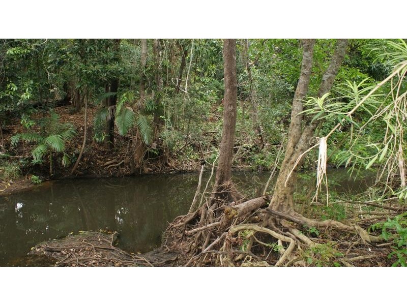 355 Tandy Road, Sarina QLD 4737