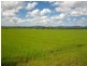 Lot 1 Bruce Highway, Ilbilbie QLD 4738