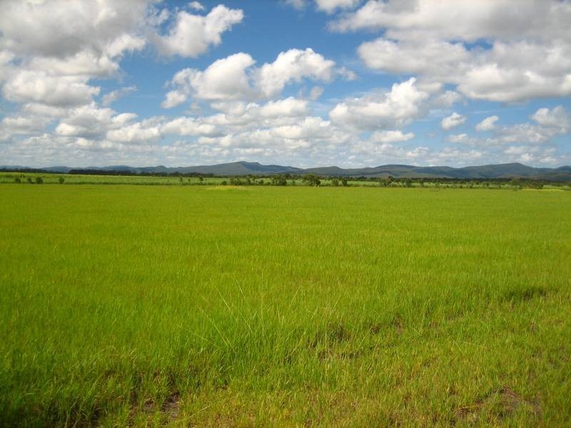 Lot 01 Bruce Highway, Ilbilbie QLD 4738