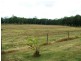 280 Turner Paddock Road, Koumala QLD 4738