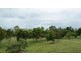 672 Hay Point Road, Mackay QLD 4740