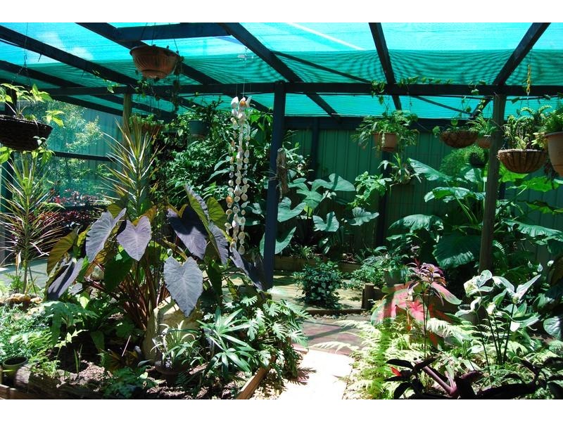 310 Greenhill Road, Ilbilbie QLD 4738