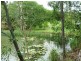 310 Greenhill Road, Ilbilbie QLD 4738