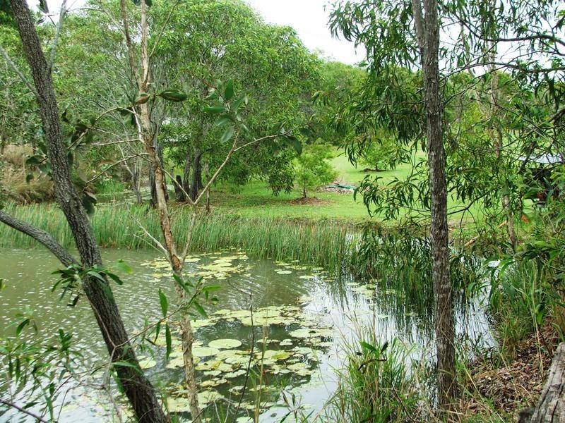 0310 Greenhill Road, Ilbilbie QLD 4738