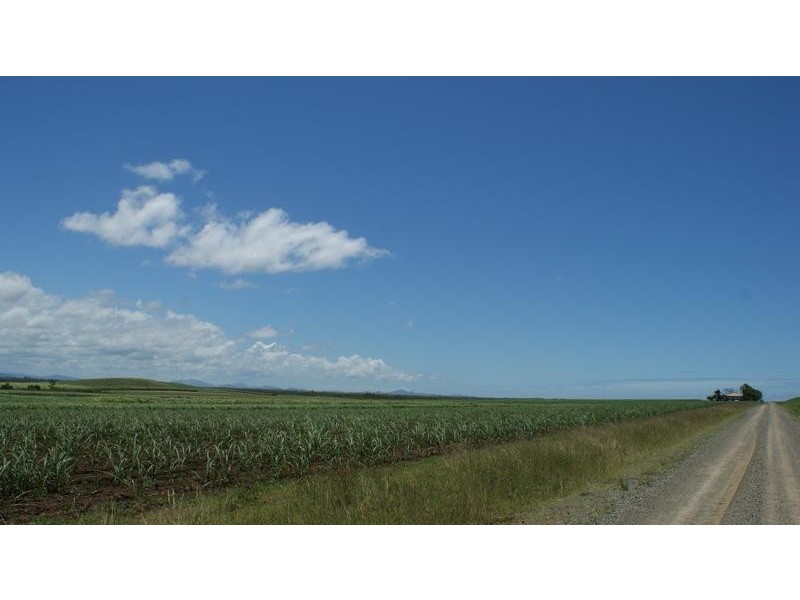 213 Tennis Court Road, Alligator Creek QLD 4740