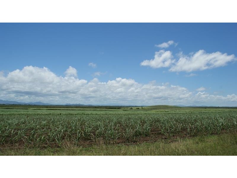 213 Tennis Court Road, Alligator Creek QLD 4740