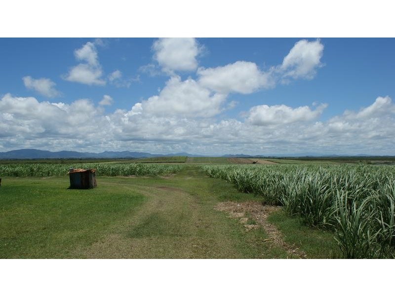 213 Tennis Court Road, Alligator Creek QLD 4740