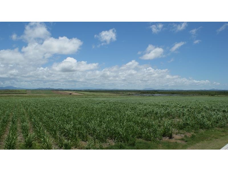 213 Tennis Court Road, Alligator Creek QLD 4740