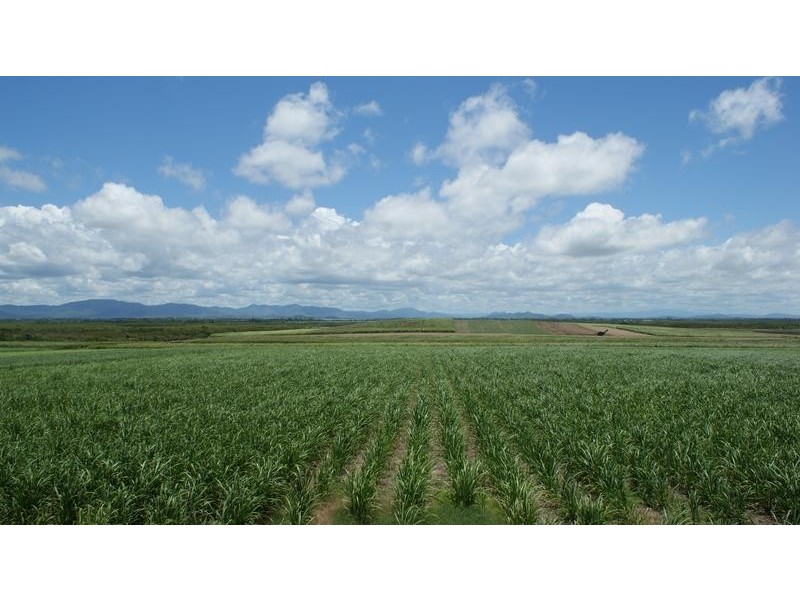 213 Tennis Court Road, Alligator Creek QLD 4740