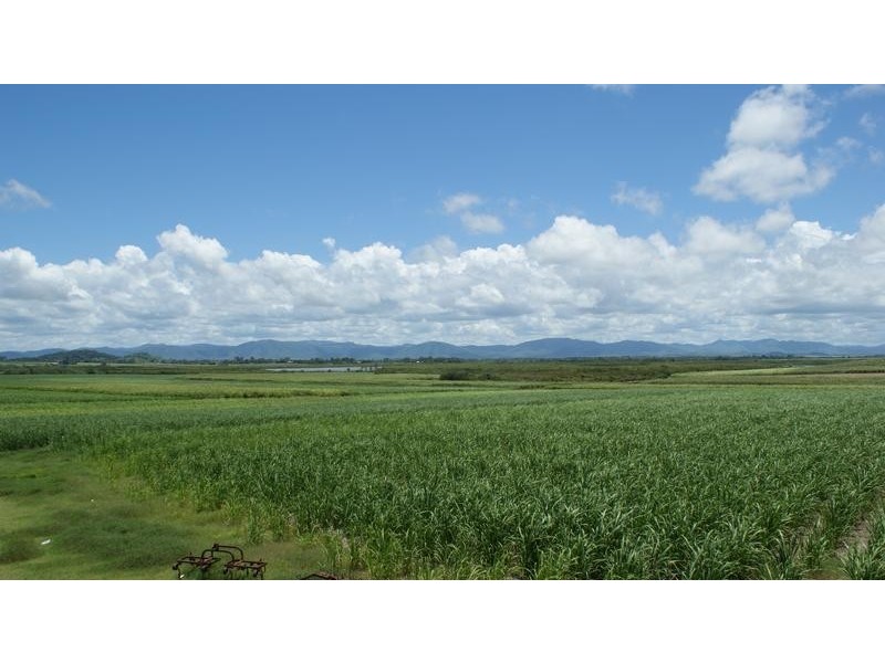 213 Tennis Court Road, Alligator Creek QLD 4740