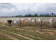 Lot 51 Coorumburra Road, Marlborough QLD 4705