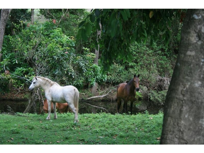 280 Middle Creek, Sarina QLD 4737