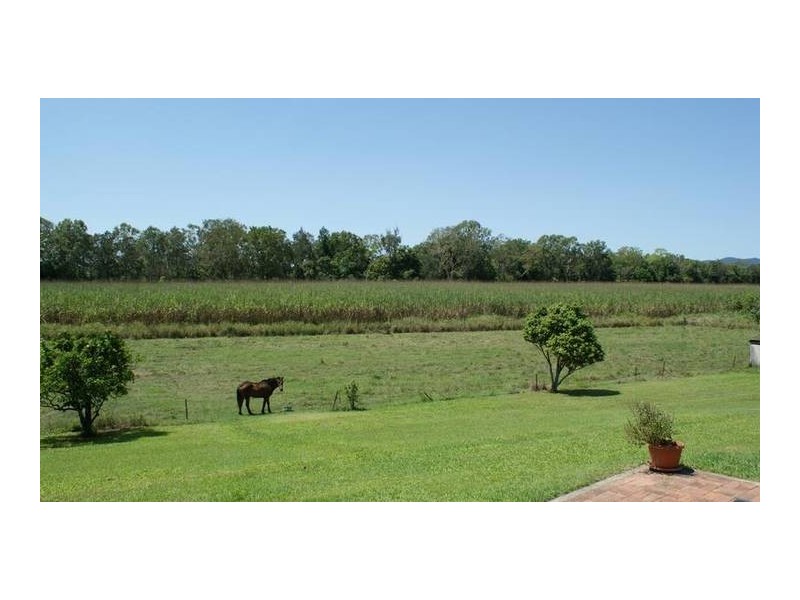 29 Upper Alligator Creek Road, Sarina QLD 4737