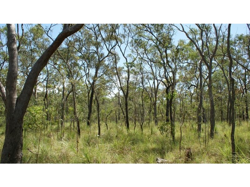 Lot 6 Cape Palmerston Road, Ilbilbie QLD 4738