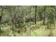 Lot 6 Cape Palmerston Road, Ilbilbie QLD 4738
