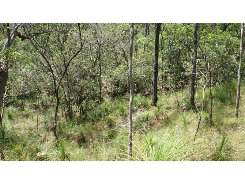 Lot 6 Cape Palmerston Road, Ilbilbie QLD 4738