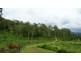 1280 Marlborough Sarina Road, Mackay QLD 4740