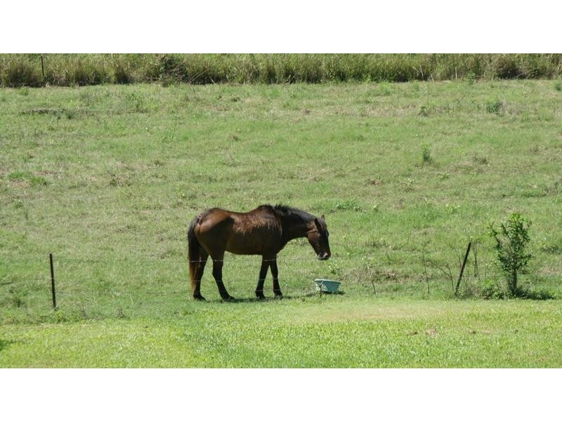 29 Upper Alligator Creek Road, Sarina QLD 4737
