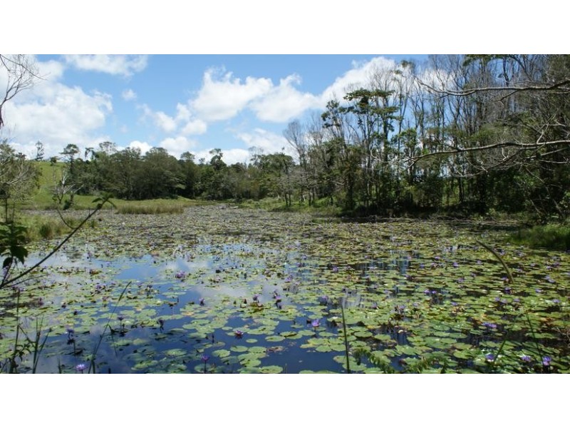 0531 Dalrymple Road, Dalrymple Heights QLD 4757