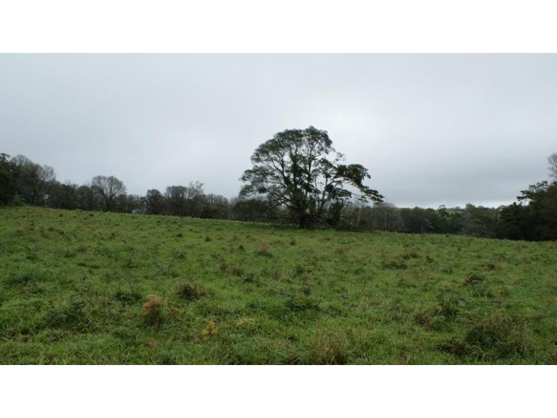 0531 Dalrymple Road, Dalrymple Heights QLD 4757