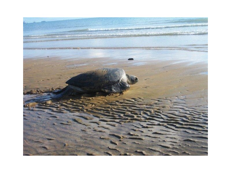 113 Rasmussen Avenue, Salonika Beach QLD 4740