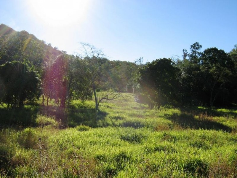 169 Garretts Road, Alligator Creek QLD 4740