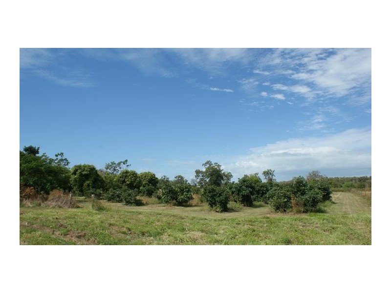 83035 Bruce Highway, Clairview QLD 4741